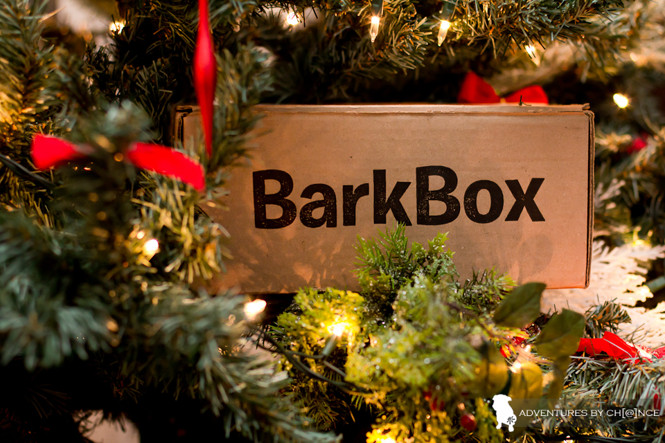 Barkbox December 2013 - Christmas!